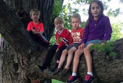 children sitting on large tree branch