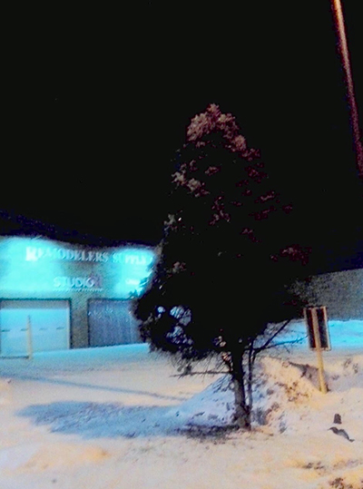 Pine tree on city street at night surrounded by snow